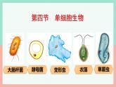 人教版生物七年级上册1.3.4《单细胞生物》课件