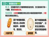 人教版生物七年级上册1.3.4《单细胞生物》课件