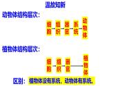 人教版生物七年级上册1.3.4《单细胞生物》（课件）