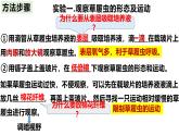 人教版生物七年级上册1.3.4《单细胞生物》（课件）