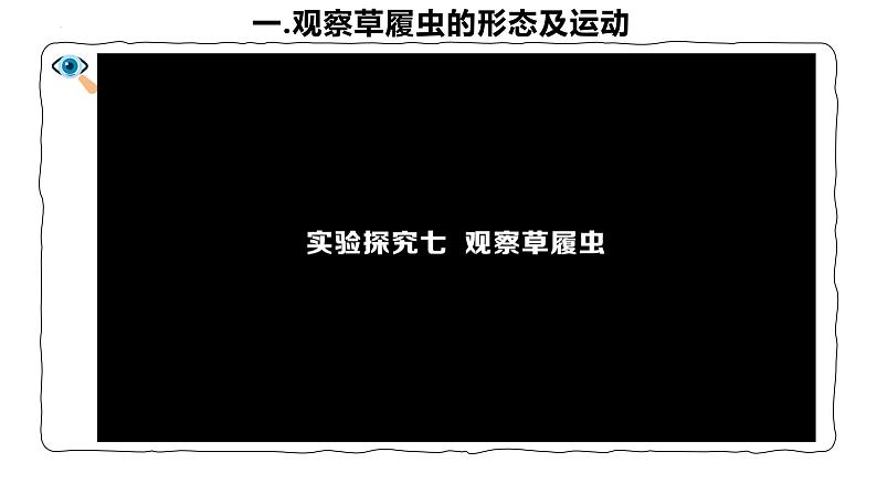 人教版生物七年级上册1.3.4《单细胞生物》（课件）07