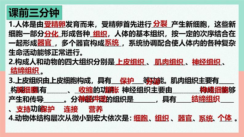 人教版生物七年级上册1.3.3《植物体的结构层次》课件第1页