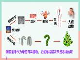 人教版生物七年级上册1.3.3《植物体的结构层次》课件