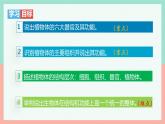 人教版生物七年级上册1.3.3《植物体的结构层次》课件