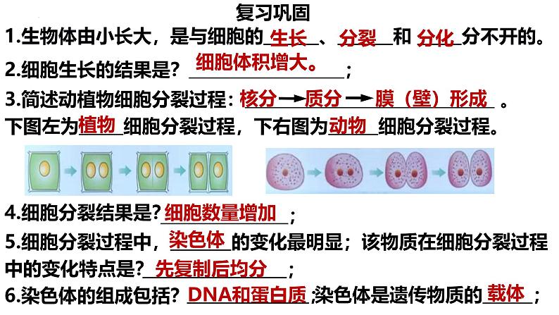 人教版生物七年级上册1.3.2《动物体的结构层次》课件01