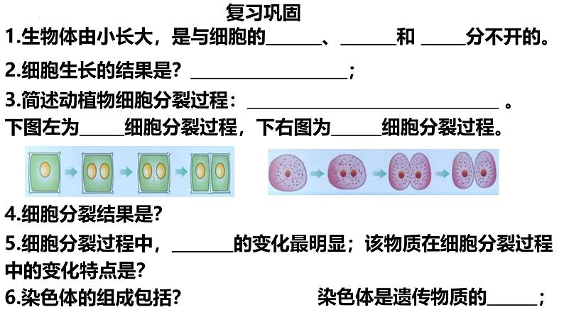 人教版生物七年级上册1.3.2《动物体的结构层次》课件02