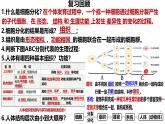 人教版生物七年级上册1.3.3《植物体的结构层次》（课件）