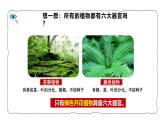 人教版生物七年级上册1.3.3《植物体的结构层次》（课件）