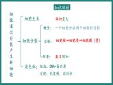 人教版生物七年级上册1.3.2《动物体的结构层次》教学课件