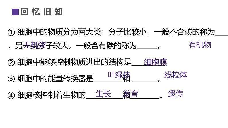 人教版生物七年级上册1.3.1《细胞通过分裂产生新细胞》课件01