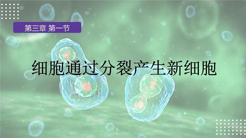 人教版生物七年级上册1.3.1《细胞通过分裂产生新细胞》课件03