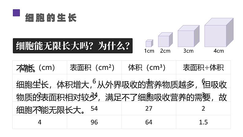 人教版生物七年级上册1.3.1《细胞通过分裂产生新细胞》课件06