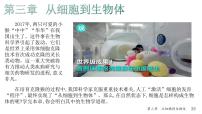 初中生物人教版（2024）七年级上册（2024）第一节 细胞通过分裂产生新细胞教学ppt课件