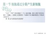 人教版生物七年级上册1.3.1《细胞通过分裂产生新细胞》教学课件