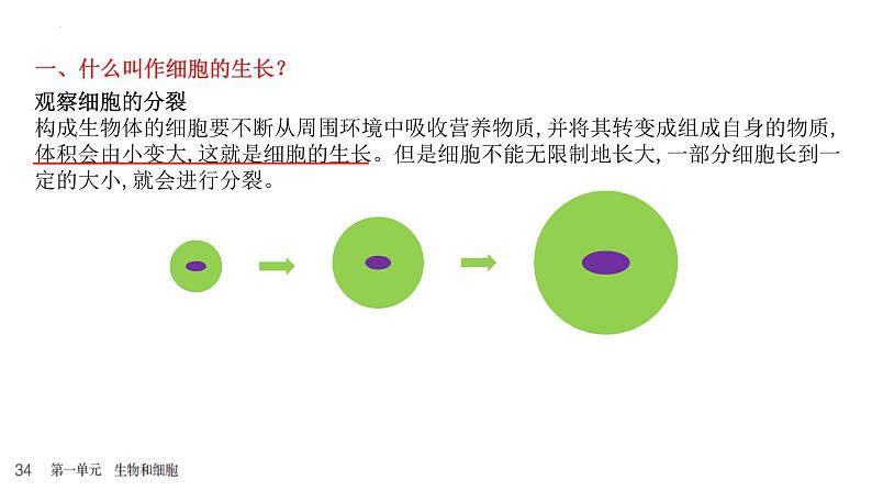 人教版生物七年级上册1.3.1《细胞通过分裂产生新细胞》教学课件04