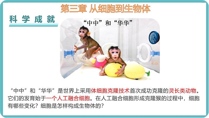 人教版生物七年级上册1.3.1《细胞通过分裂产生新细胞》教学课件 (2)01