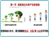 人教版生物七年级上册1.3.1《细胞通过分裂产生新细胞》教学课件 (2)