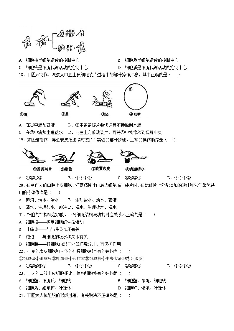 江苏省南京市上元中学2024-2025学年七年级上学期第一次月考生物试卷(无答案)第2页