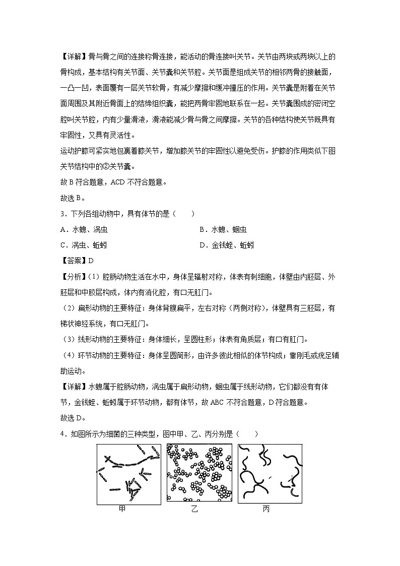 [生物][期中]辽宁省2024-2025学年八年级上学期期中考试试卷(解析版)第2页