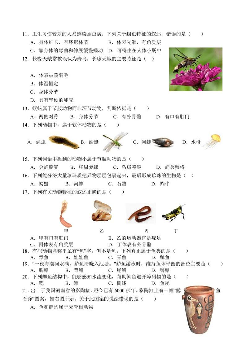 [生物]广东省茂名市高州市第一中学附属实验中学2024～2025学年八年级上学期10月月考试题(有答案)第2页