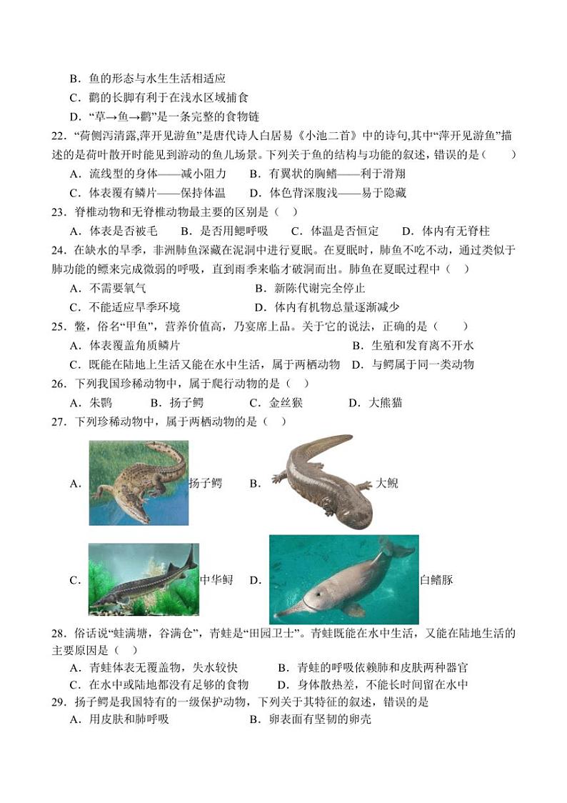 [生物]广东省茂名市高州市第一中学附属实验中学2024～2025学年八年级上学期10月月考试题(有答案)第3页