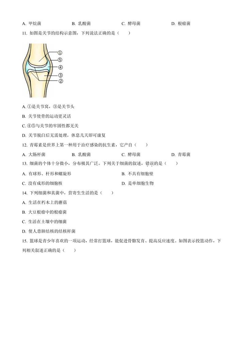 [生物]广西河池市宜州区2023～2024学年八年级上学期期中考试试题(有答案)第2页