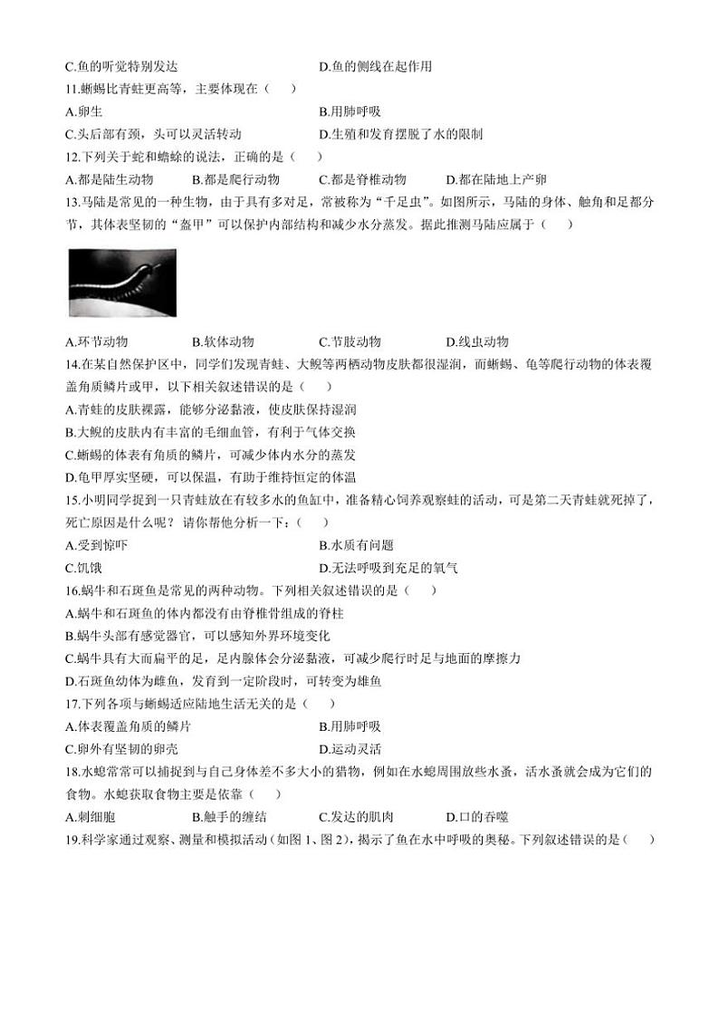 [生物]河北省沧州市南皮县桂和中学2024～2025学年八年级上学期第一次月考试题(有答案)第2页