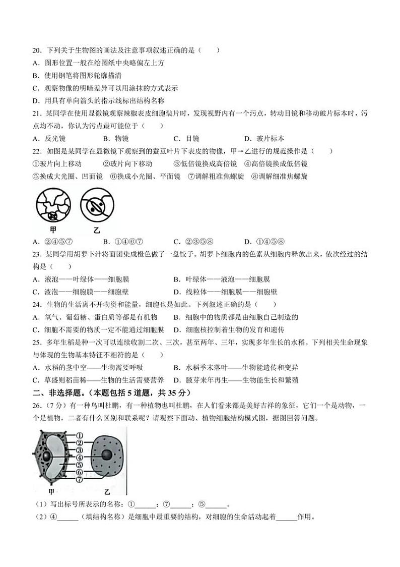 [生物]河北省沧州市南皮县桂和中学2024～2025学年七年级上学期第一次月考试题(有答案)第3页