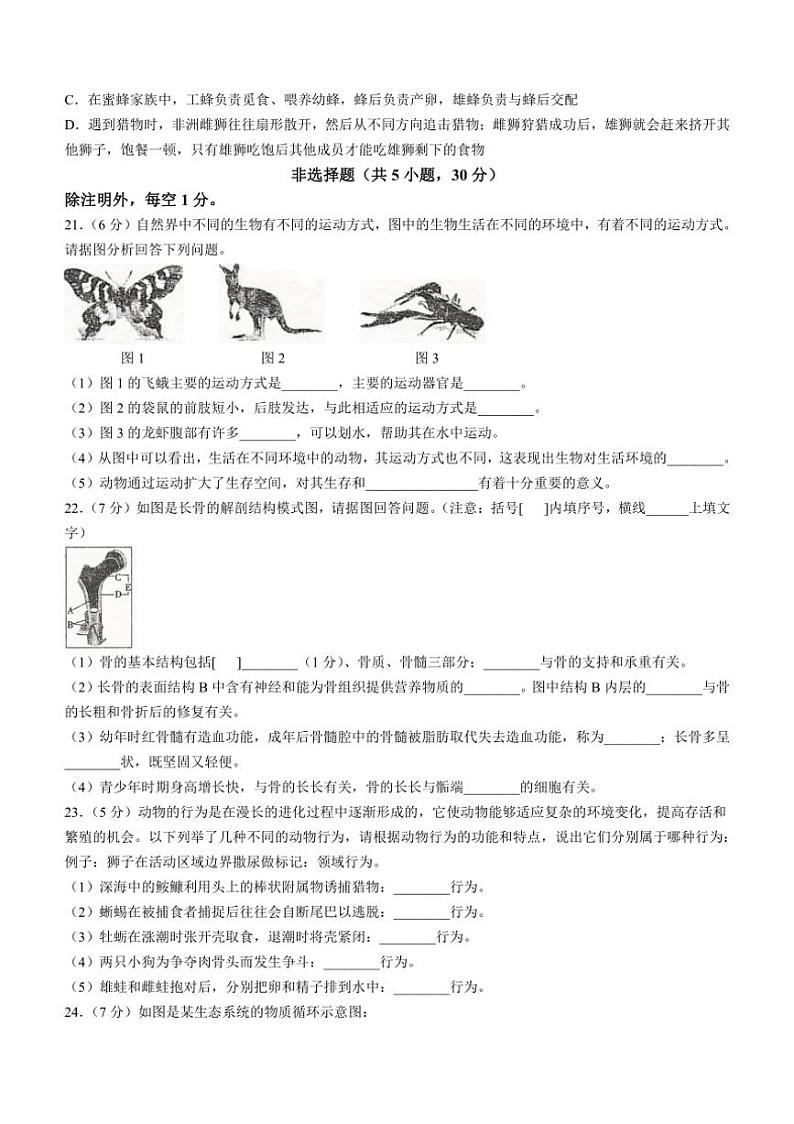 [生物]河南省安阳市滑县2024～2025学年八年级上学期10月月考试题(有答案)第3页