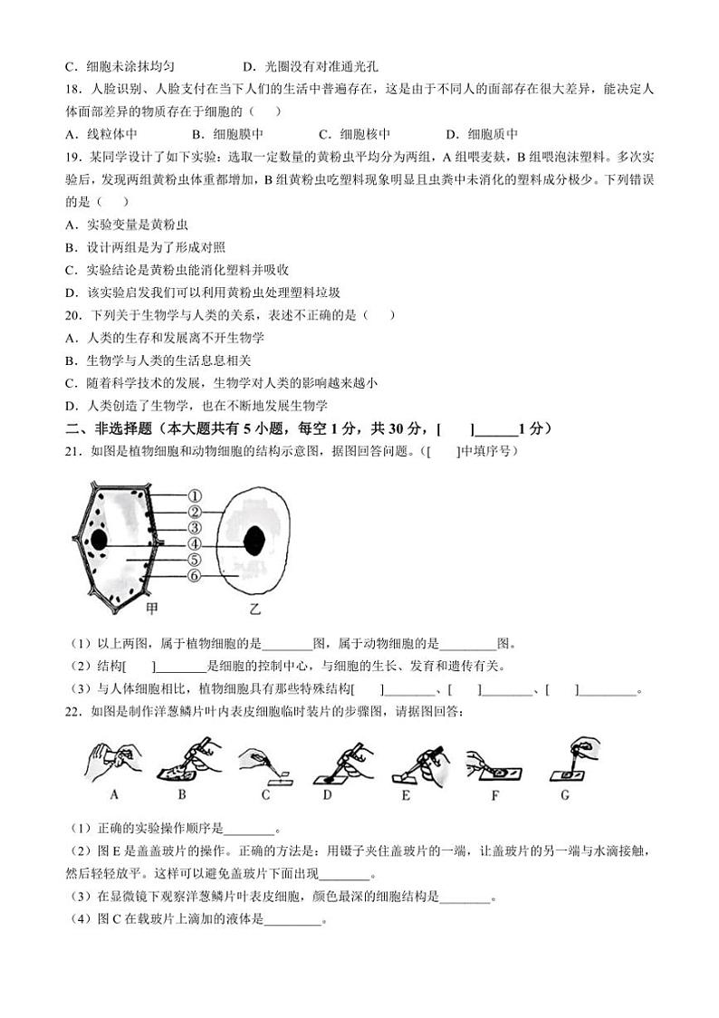 [生物]河南省安阳市林州市2024～2025学年七年级上学期10月月考试题(有答案)第3页