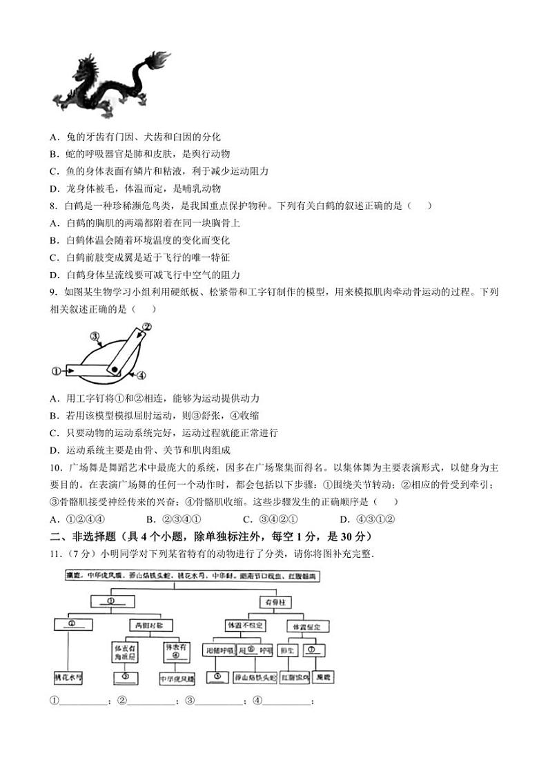 [生物]湖北省黄冈市部分学校2024～～2025学年八年级上学期10月月考试题(有答案)02