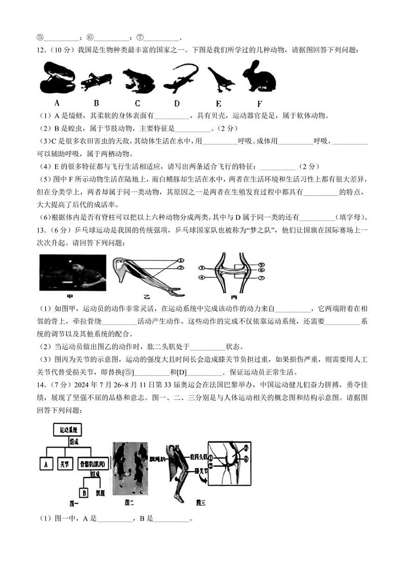 [生物]湖北省黄冈市部分学校2024～～2025学年八年级上学期10月月考试题(有答案)03