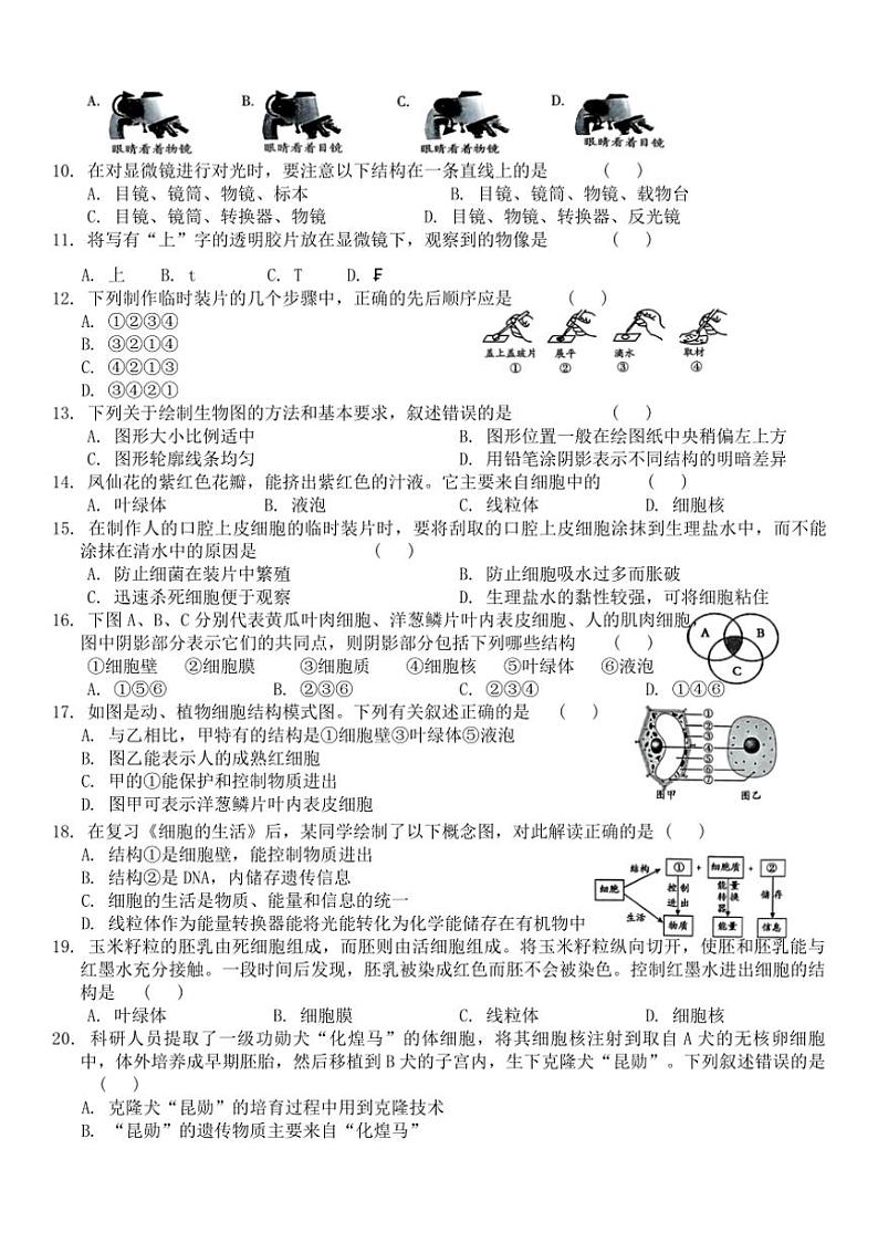 [生物]湖南省娄底市涟源市2024～2025学年七年级上学期10月月考试题(有答案)第2页