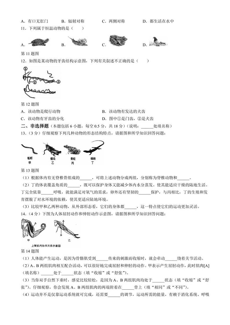[生物]辽宁省大连市瓦房店市2024～2025学年八年级上学期10月份练习试卷(有答案)第2页