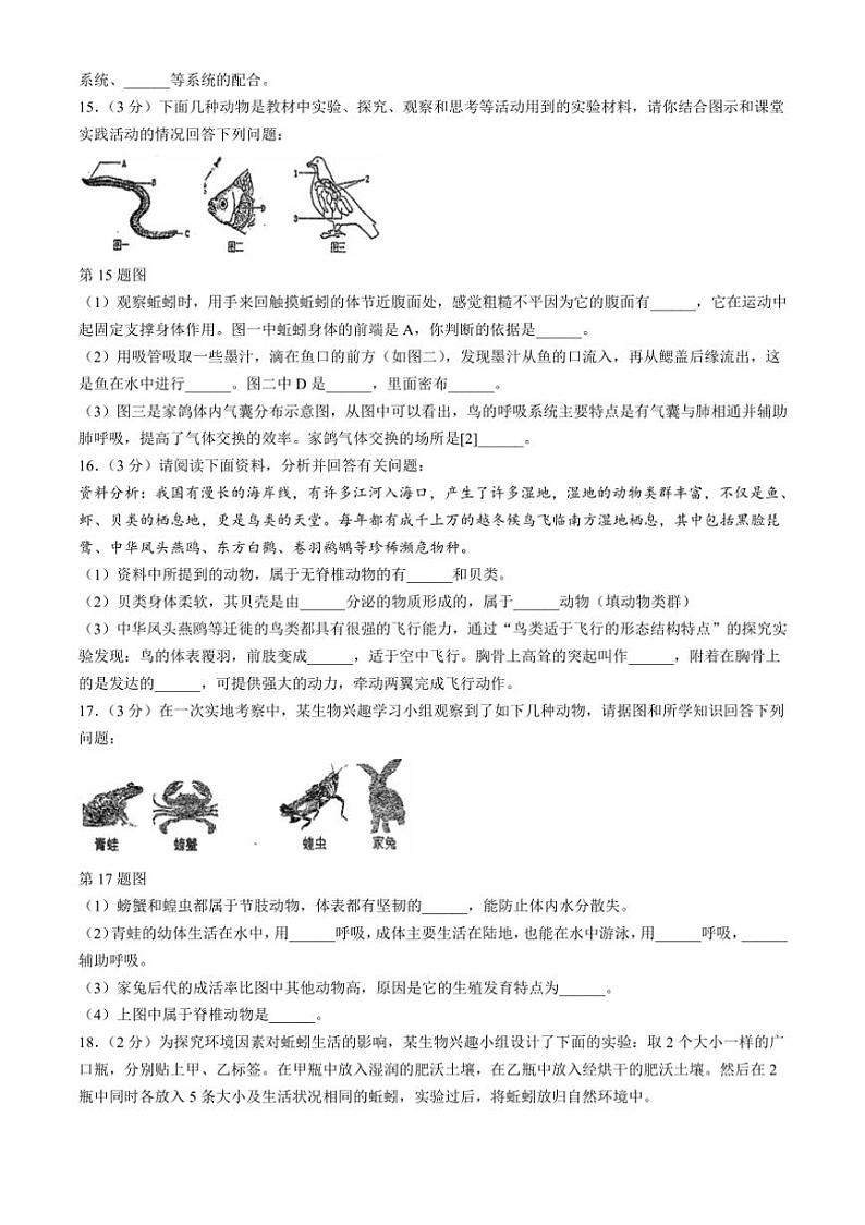 [生物]辽宁省大连市瓦房店市2024～2025学年八年级上学期10月份练习试卷(有答案)第3页