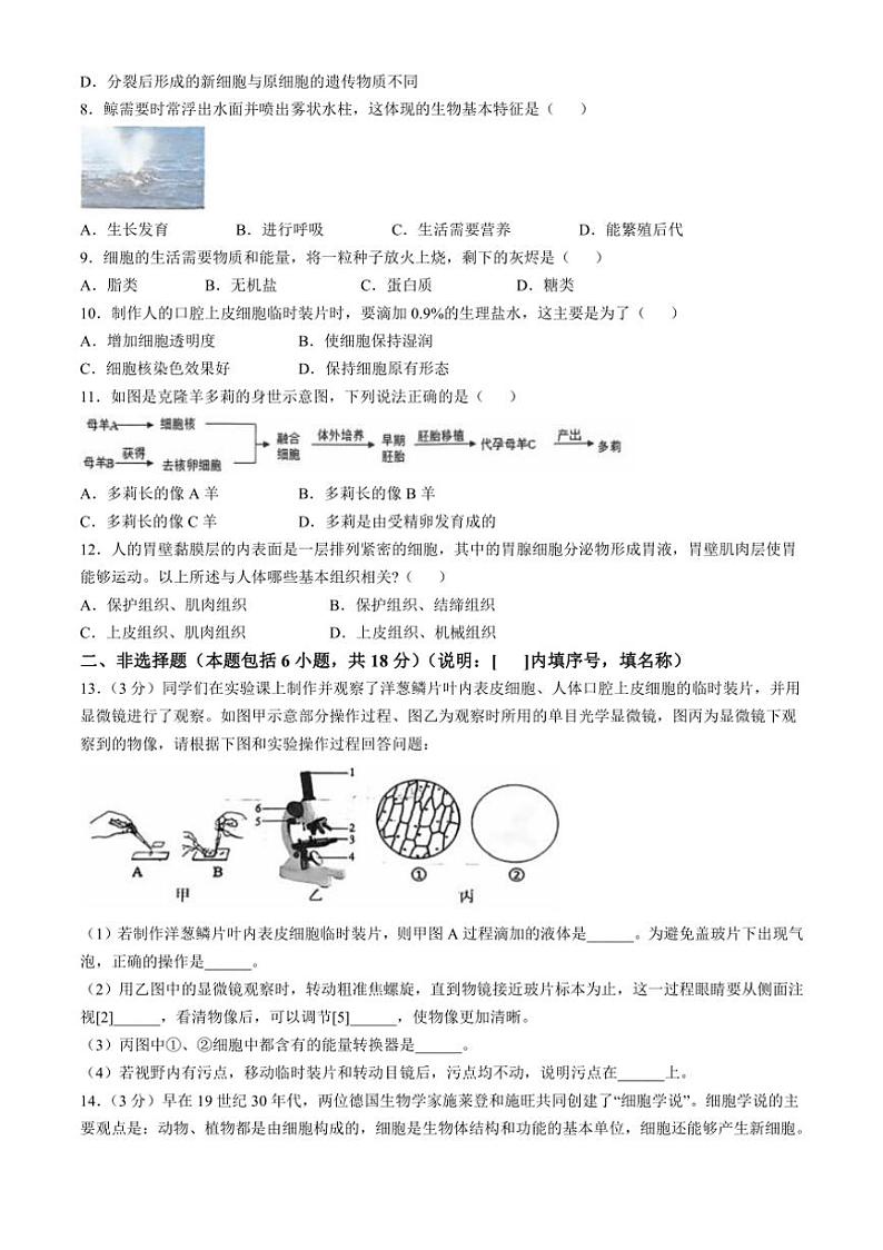 [生物]辽宁省大连市瓦房店市2024～2025学年七年级上学期10月份练习试卷(有答案)02