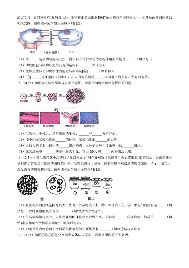 [生物]辽宁省大连市瓦房店市2024～2025学年七年级上学期10月份练习试卷(有答案)03