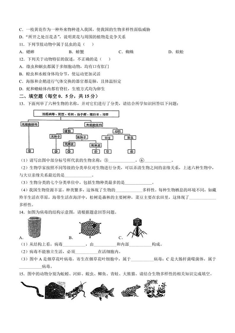 [生物]辽宁省辽阳市第二中学教育集团2024～2025学年八年级上学期阶段学情调研月考试卷(有答案)第2页