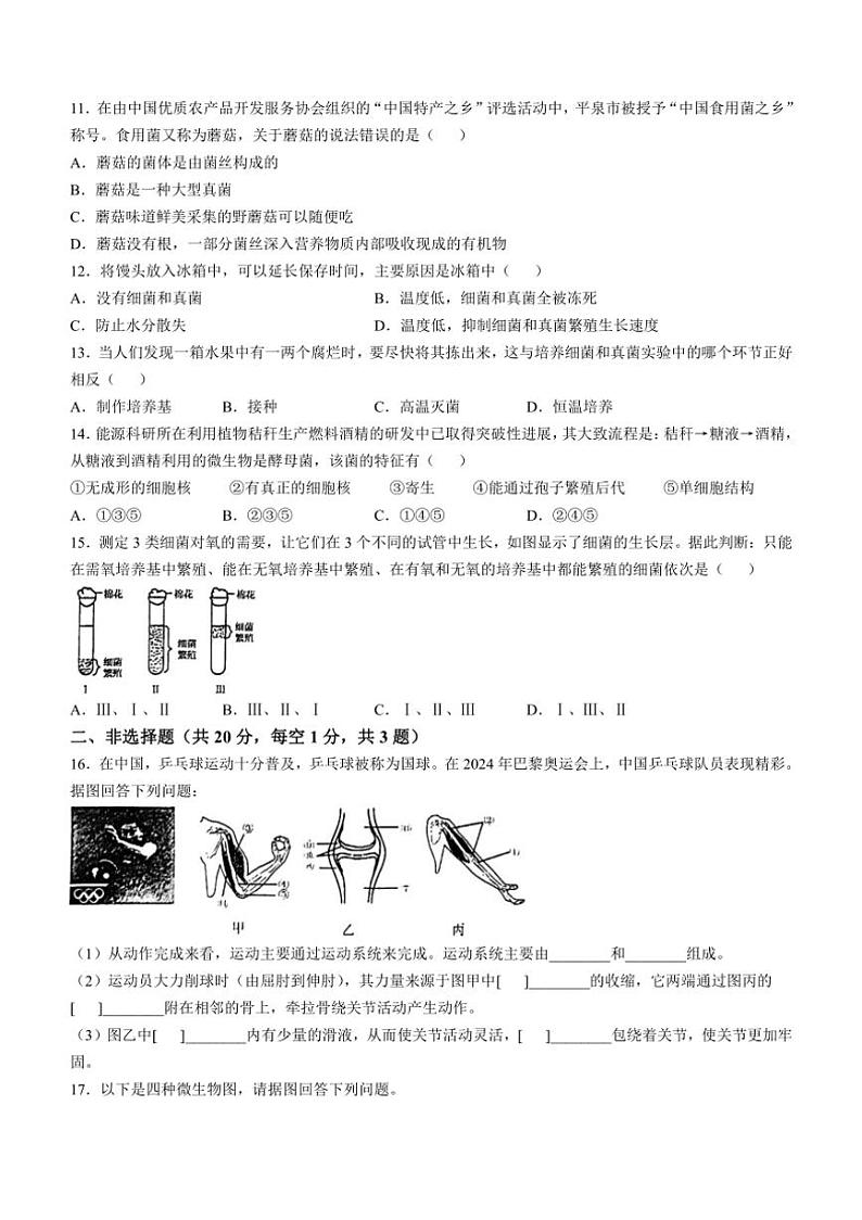 [生物]山东省临沂市兰山区第十二中学2024～2025学年八年级上学期10月份月考试题(有答案)03