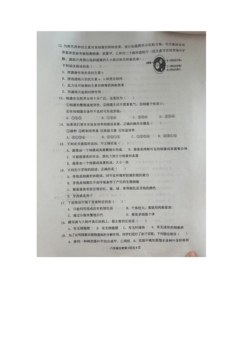 山东省临沂市2024--2025学年八年级上学期第一次月考生物试题03