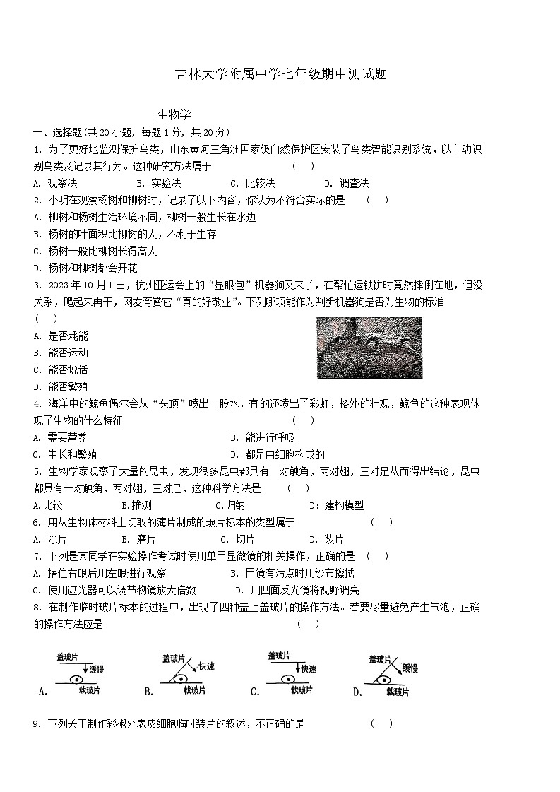 吉林省长春市吉林大学附属中学2024-2025学年七年级上学期期中测试生物试题01