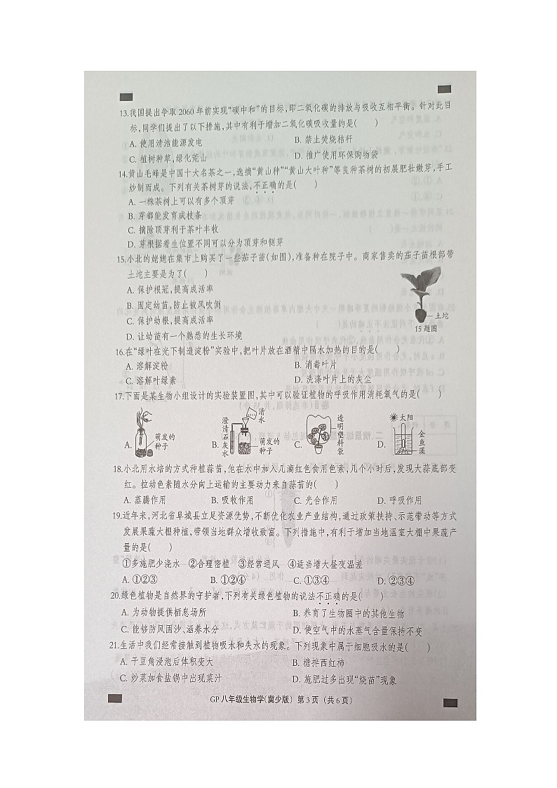 河北省邯郸市广平县实验中学2024-2025学年八年级上学期10月月考生物试题第3页