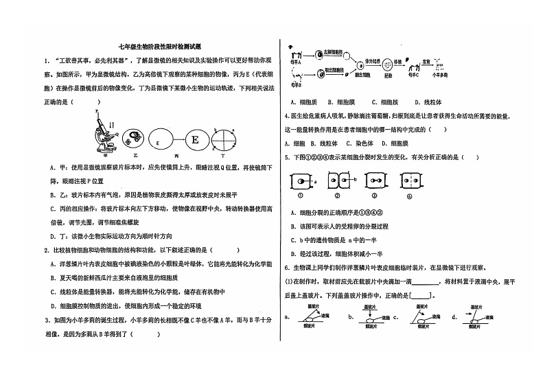 内蒙古伊金霍洛旗鄂尔多斯市第一中学伊金霍洛分校2024-2025学年七年级上学期10月月考生物试题01