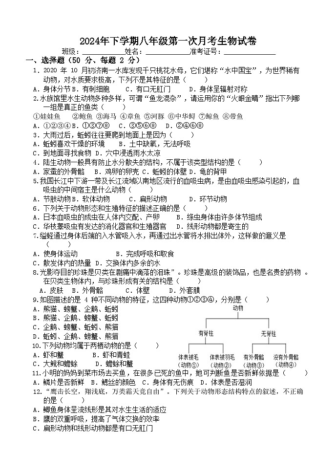 湖南省长沙市宁乡市白马桥街道宁乡一中白马桥初级中学2024-2025学年八年级上学期10月月考生物试题01