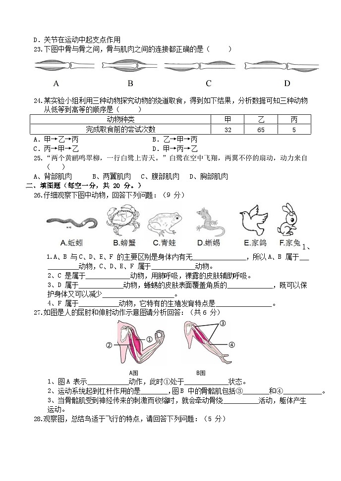 湖南省长沙市宁乡市白马桥街道宁乡一中白马桥初级中学2024-2025学年八年级上学期10月月考生物试题03