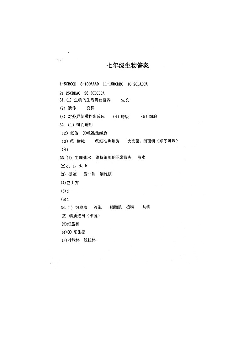 24年10月初实验初一生物答案第1页