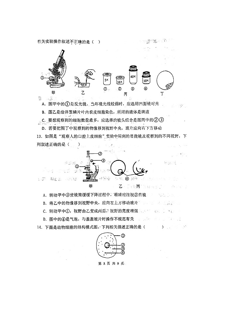 24年10月初实验初一生物第3页
