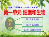 人教版（2024新版）七年级上册生物第一单元 生物和细胞 复习课件