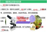 人教版（2024新版）七年级上册生物第一单元 生物和细胞 复习课件