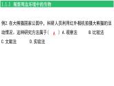 人教版（2024新版）七年级上册生物第一单元 生物和细胞 复习课件